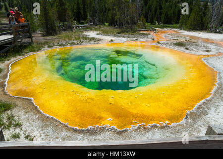 Morning Glory Pool, Upper Geyser Basin, Parc National de Yellowstone, Wyoming, USA Banque D'Images