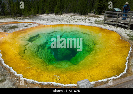 Morning Glory Pool, Upper Geyser Basin, Parc National de Yellowstone, Wyoming, USA Banque D'Images