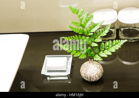 Petite plante dans la salle de bains Banque D'Images