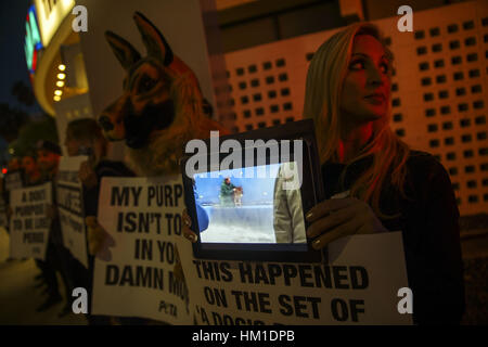 Hollywood, CA, USA. 27 Jan, 2017. Les gens ont des signes au cours d'une protestation PETA du film ''un chien au but'' en face de l'ArcLight Theatre le Vendredi, 27 janvier 2017 à Hollywood, Californie, PETA a appelé à un boycott du film tiré de la violence envers les animaux après une vidéo diffusé par le TMZ a montré une German Shepard d'être contraints à un pool d'eau turbulente. © 2017 Patrick T. Fallon - Restrictions : * LA, OC, Ventura, Riverside, San Diego Les journaux de la région et des droits TV OUT Crédit : Patrick Fallon/ZUMA/Alamy Fil Live News Banque D'Images