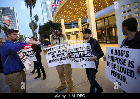 Hollywood, CA, USA. 27 Jan, 2017. Les gens ont des signes au cours d'une protestation PETA du film ''un chien au but'' en face de l'ArcLight Theatre le Vendredi, 27 janvier 2017 à Hollywood, Californie, PETA a appelé à un boycott du film tiré de la violence envers les animaux après une vidéo diffusé par le TMZ a montré une German Shepard d'être contraints à un pool d'eau turbulente. © 2017 Patrick T. Fallon - Restrictions : * LA, OC, Ventura, Riverside, San Diego Les journaux de la région et des droits TV OUT Crédit : Patrick Fallon/ZUMA/Alamy Fil Live News Banque D'Images