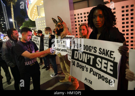 Hollywood, CA, USA. 27 Jan, 2017. Les gens ont des signes au cours d'une protestation PETA du film ''un chien au but'' en face de l'ArcLight Theatre le Vendredi, 27 janvier 2017 à Hollywood, Californie, PETA a appelé à un boycott du film tiré de la violence envers les animaux après une vidéo diffusé par le TMZ a montré une German Shepard d'être contraints à un pool d'eau turbulente. © 2017 Patrick T. Fallon - Restrictions : * LA, OC, Ventura, Riverside, San Diego Les journaux de la région et des droits TV OUT Crédit : Patrick Fallon/ZUMA/Alamy Fil Live News Banque D'Images