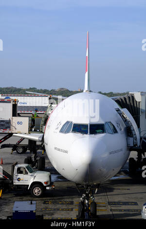 8 janvier 2017 - L'aéroport international Simon Bolivar, Venezuela : un Airbus A330 (Bartolomeu de Gusmao) du robinet est vu dans Maiquetía 'Simón Bolívar' Aéroport International. Appuyez sur (Transportes Aéreos Portugueses) Le Portugal est la compagnie aérienne porte-drapeau du Portugal. - Pas de service de fil- Photo : Thierry Monasse/dpa Banque D'Images