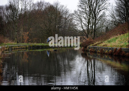 Bolton, Lancashire, UK. Jan 31, 2017. Un jour de mélancolie humide pour chien marcheurs le long de la Bolton et Manchester Bury, Canal, Bolton, Lancashire. Photo par Paul Heyes, mardi 31 janvier, 2017. Crédit : Paul Heyes/Alamy Live News Crédit : Paul Heyes/Alamy Live News Banque D'Images