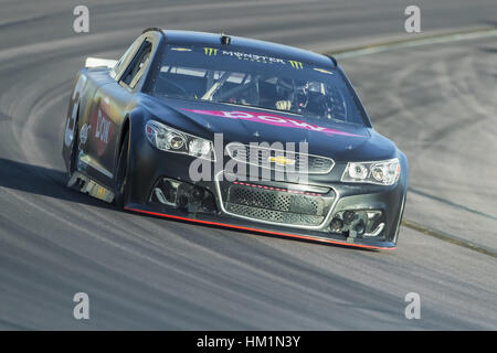 Avondale, USA. Jan 31, 2017. Austin Dillon (3) tient son Richard Childress Chevrolet à travers les virages durant une pratique à l'essai d'ouverture de Phoenix à Phoenix International Raceway à Avondale, Arizona. Crédit : Walter G Arce Sr Asp Inc/ASP/ZUMA/Alamy Fil Live News Banque D'Images