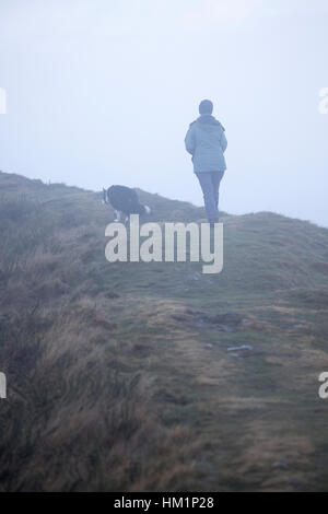 Chien femelle walker profitant de promener son chien dans le brouillard du matin sur la montagne Halkyn, Flintshire Banque D'Images