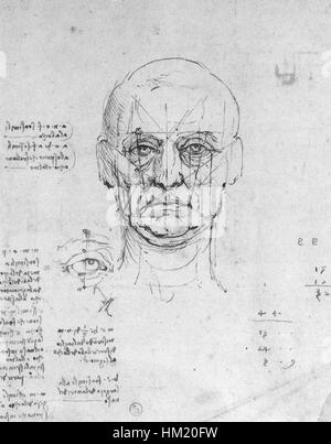 Ce dessin de Léonard de Vinci démontre son étude des proportions humaines, en se concentrant sur la tête et les yeux. Les observations précises de Da Vinci ont contribué à façonner sa compréhension de l'anatomie et à influencer ses futures œuvres artistiques. Banque D'Images