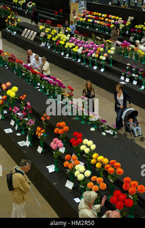 Jardin National Show, Shepton Mallet Banque D'Images