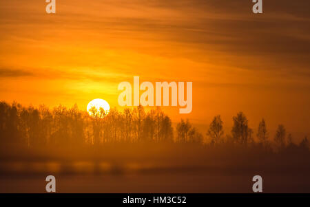 Coucher du soleil d'hiver brumeux en Finlande Banque D'Images