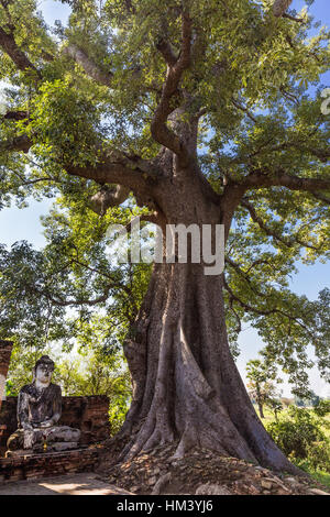 Ruines de l'ancien royaume d'Ava, Amarapura état Mandalay Myanmar (Birmanie) Banque D'Images