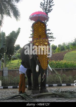 Décoré pour l'éléphant d'Onam festival. Trivandrum, Kerala, Inde Banque D'Images