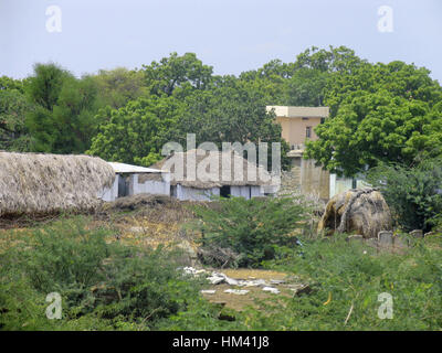 Paysage. L'Andra Pradesh, l'Inde rurale Banque D'Images