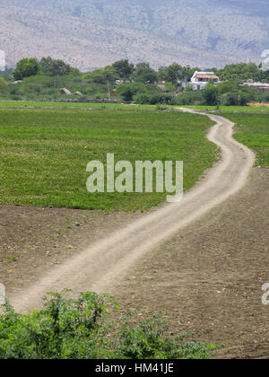 Paysage. L'Andra Pradesh, l'Inde rurale Banque D'Images