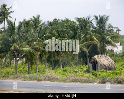 Paysage rural, l'Andra Pradesh, Inde Banque D'Images