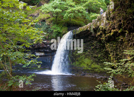 Un walker considère la chute près de Gwladus Sgwd Pontneddfechan dans les Brecon Beacons du sud du Pays de Galles Banque D'Images