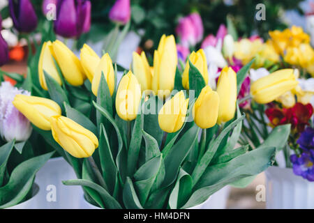 Tulipes jaunes dans le comptoir du magasin de fleurs Banque D'Images