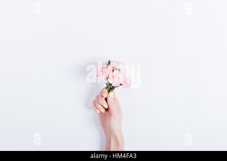 Petit bouquet d'Oeillets roses dans a woman's hand avec vernis à ongles jaunes sur fond blanc, copy space Banque D'Images