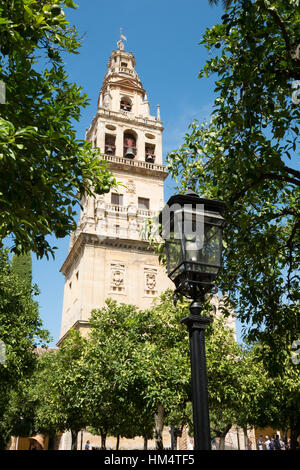 Torre del Alminar le clocher mosquée Cordoba andalousie andalousie espagne Banque D'Images