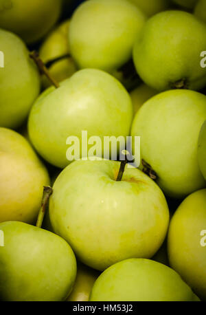 Pearmain les pommes d'un arbre fraîchement collecté Banque D'Images