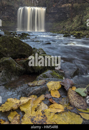 Sgwd yr Elra, cascade, avec des feuilles mortes, sur Afon Mellte, Ystradfellte, quatre cascades, Brecon Beacons. Banque D'Images