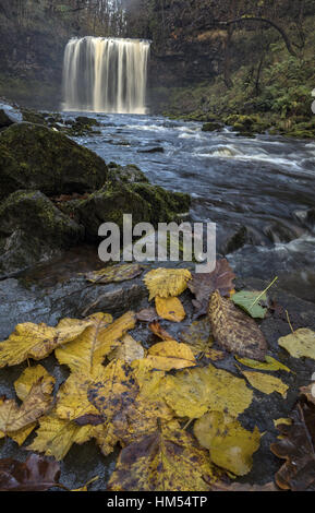 Sgwd yr Elra, cascade, avec des feuilles mortes, sur Afon Mellte, Ystradfellte, quatre cascades, Brecon Beacons. Banque D'Images