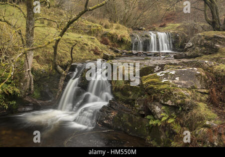 L'une des chutes d'établissement Blaen y Glyn, sur la rivière, Caerfanell (affluent de l'Usk), Brecon Beacons. Banque D'Images