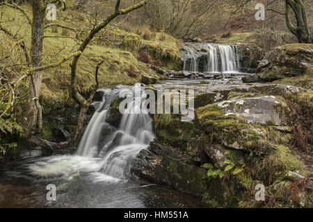 L'une des chutes d'établissement Blaen y Glyn, sur la rivière, Caerfanell (affluent de l'Usk), Brecon Beacons. Banque D'Images