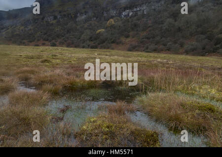 Waen Ddu, tourbières bombées en automne, Craig y Cilau National Nature Reserve, Brecon Beacons, Pays de Galles. Banque D'Images