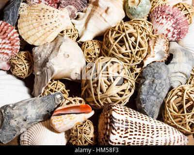 Panier de coquillages Banque D'Images