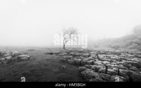 Sur l'hiver et Ingleborough autour, l'un des fameux "trois pics" dans le Nord du Yorkshire, près de Ingleton dans la merveilleuse région du Yorkshire Dales Banque D'Images