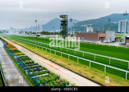 Hippodrome de Sha Tin à Hong Kong Banque D'Images