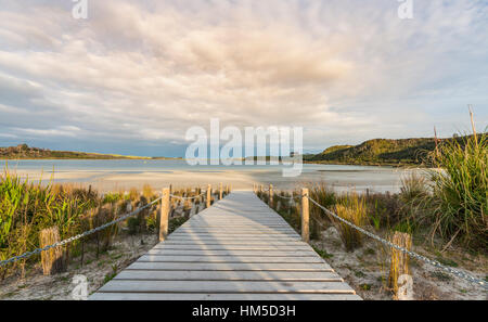 Promenade à la plage, lac Taharoa, Northland, North Island, New Zealand