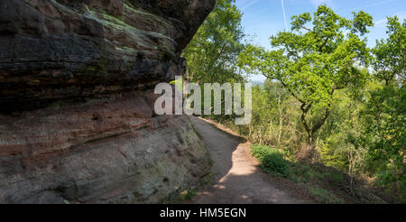 Sentier à Alderley Edge dans le Cheshire. Une promenade le long du bord de grès dans la campagne du Cheshire. Banque D'Images