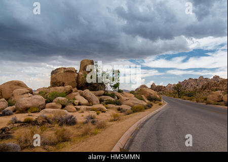 Route pavée et de spectaculaires formations rocheuses dans le parc national Joshua Tree, California, USA Banque D'Images
