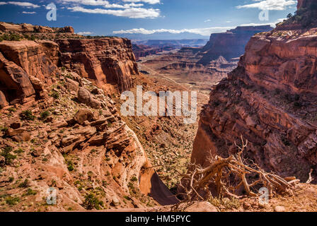 Shafer Canyon, île dans le ciel l'article, Canyonlands National Park, Utah, USA Banque D'Images