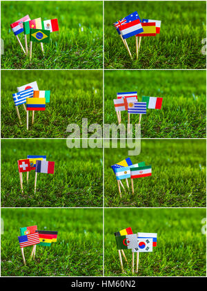 Coupe papier de drapeaux sur l'herbe pour le Soccer Championship 2014 Banque D'Images