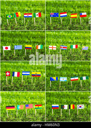 Coupe papier de drapeaux sur l'herbe pour le Soccer Championship 2014 Banque D'Images