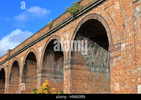 La croissance des mauvaises herbes sur viaduc ferroviaire construit en briques de style victorien de l'autre côté de la vallée de la Bourne arcades et Surrey Road à Branksome entre Bournemouth et Poole UK Banque D'Images