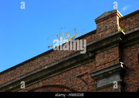 La croissance des mauvaises herbes sur viaduc ferroviaire construit en briques de style victorien de l'autre côté de la vallée de la Bourne arcades et Surrey Road à Branksome entre Bournemouth et Poole UK Banque D'Images