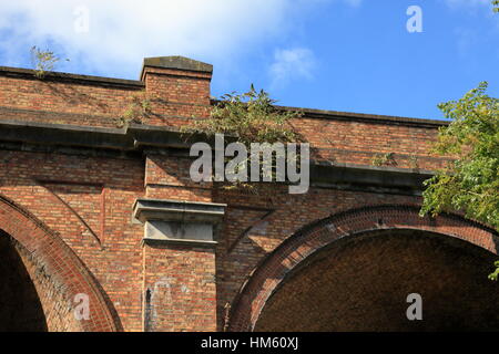 La croissance des mauvaises herbes sur viaduc ferroviaire construit en briques de style victorien de l'autre côté de la vallée de la Bourne arcades et Surrey Road à Branksome entre Bournemouth et Poole UK Banque D'Images