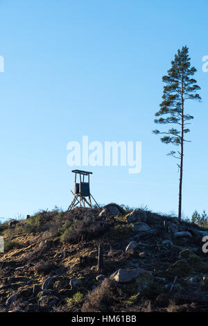 Tour de chasse au sommet d'une colline dans une zone de forêt claire Banque D'Images