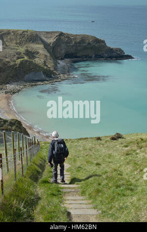 Walker de Lulworth Cove ci-dessus sur le chemin côtier du sud-ouest, Dorset, UK Banque D'Images