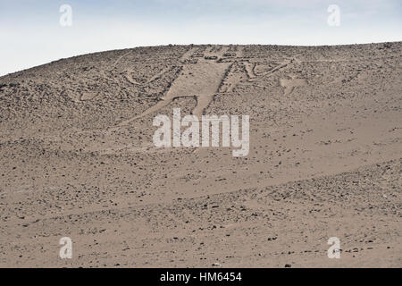 El Gigante de Atacama géoglyphe sur le Cerro de l'Unita, Désert d'Atacama, Norte Grande, Chili Banque D'Images