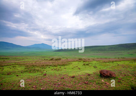 Paysage en Tanzanie, la dépression près de Ngorongoro Banque D'Images