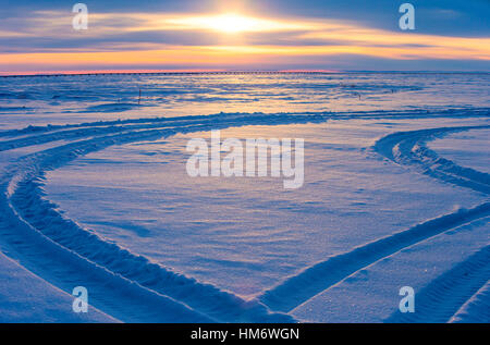 Les traces de pneus sur la neige couverts field at sunset Banque D'Images