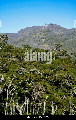 Los Crestones près du Mont Chirripó, Costa Rica - la plus haute montagne de 3820m. Parc National Chirripó, Costa Rica. Banque D'Images