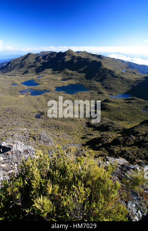 Lacs Las Morenas vu du sommet du Mont Chirripó, Costa Rica - la plus haute montagne de 3820m. Parc National Chirripó, Costa Rica. Banque D'Images