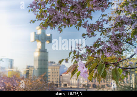 Le printemps à Tallinn, Estonie. Sakura en fleurs et de la guerre d'indépendance de la colonne de la victoire sur l'arrière-plan. Banque D'Images