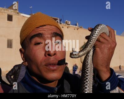 Portrait de charmeur de serpent serpent holding marocain près de son visage en Place-el-Hedime, place principale de la ville impériale de Meknès, Maroc Banque D'Images