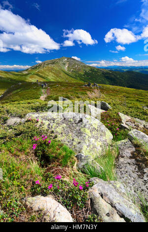 L'Ukraine, région d'Ivano-Frankivsk, district de Verkhovyna, Carpates, Chernohora, paysage de montagne aux beaux jours Banque D'Images